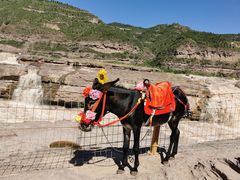 -陕西黄河壶口瀑布旅游区