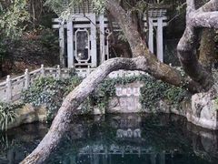 -蝴蝶泉公园