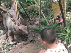 -呀路古热带植物园