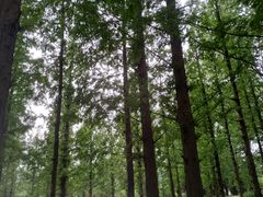 -国家植物园南园