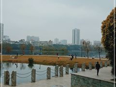 -南宁南湖公园