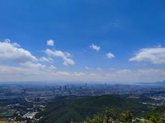 -长虫山生态公园风景林