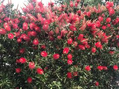 -桤木河湿地公园