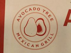 -油梨树 AVOCADO TREE(亮马桥店)