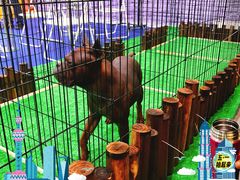-东浩兰生上海世博展览馆
