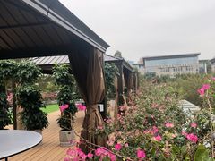 -罗汉堂·荷谷(礼智路店)