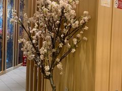 -胜博殿日式炸猪排(悠唐店)