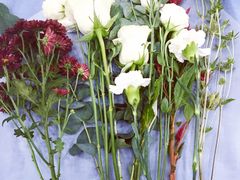-Butchart布查德鲜花(花艺设计中心)