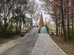 -溱湖国家湿地公园