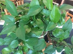 -李先生牛肉面大王(莱芜信誉楼店)
