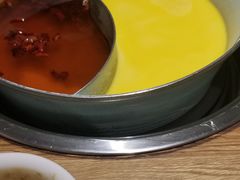 -青瓷火锅料理(西单大悦城店)