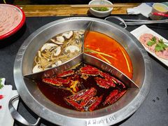 -大龙燚火锅(春熙店)