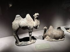 -大同市博物馆