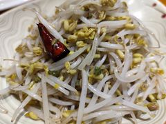 炝炒绿豆芽-丹江渔村(望京店)