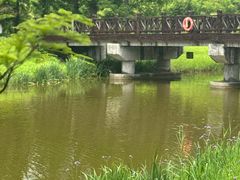 -黄海国家森林公园