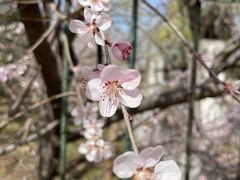 -鬼笑石后山停车场