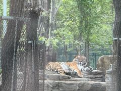 -秦皇岛野生动物园