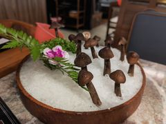 鸡枞菌-禄婶鸡煲·打边炉