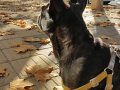 -旺角小渔村(二马路店)