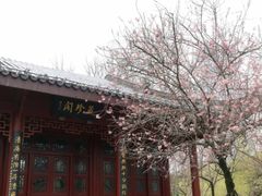 -堤角公园