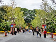 -东西巷