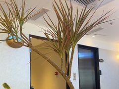 -鹿港小镇(霄云店)