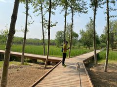-东郊湿地公园