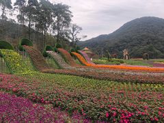-广州市石门国家森林公园