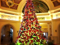 iphone_upload_pic-广州凤凰城酒店-维也纳西餐厅