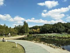-昆山城市公园