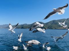 -丽江泸沽湖景区