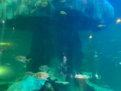 -龙谷湾旅游休闲度假区