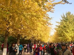 -辽宁大学(崇山校区)