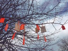 -硗碛藏寨·神木垒景区