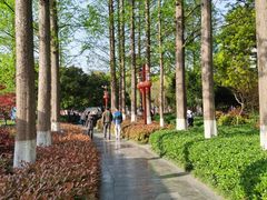 -郑和公园