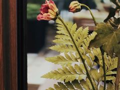 -扫雪煮茶(西村店)