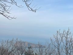 -棒棰岛宾馆景区