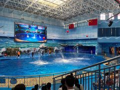 -多彩贵州城极地海洋世界