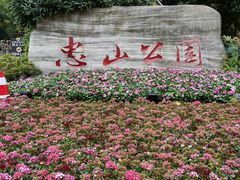-忠山公园