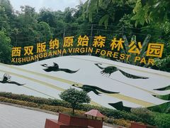 -西双版纳原始森林公园