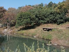 -宁波野生动物园