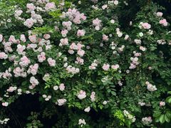 -迎晖路(地铁站)