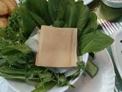 -大鹅岛绿色生态美食园
