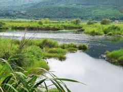 -腾冲北海湿地