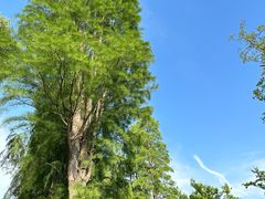 -狼山风景名胜区