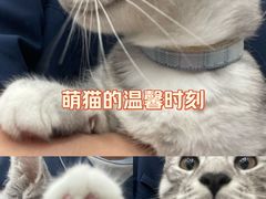 -瑞鹏宠物医院·眼科·皮肤·中兽医(大悦城分院)