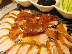 -守柴炉烤鸭(科华中路王府井店)