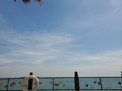 -北海金海湾红树林生态旅游区