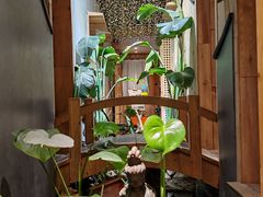 -邈墨茶馆(凤起路店)