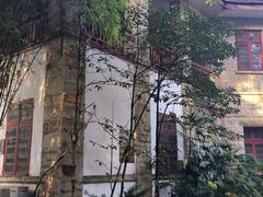 -南山植物园